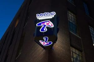 Mellow Mushroom Nighttime Illuminated Sign